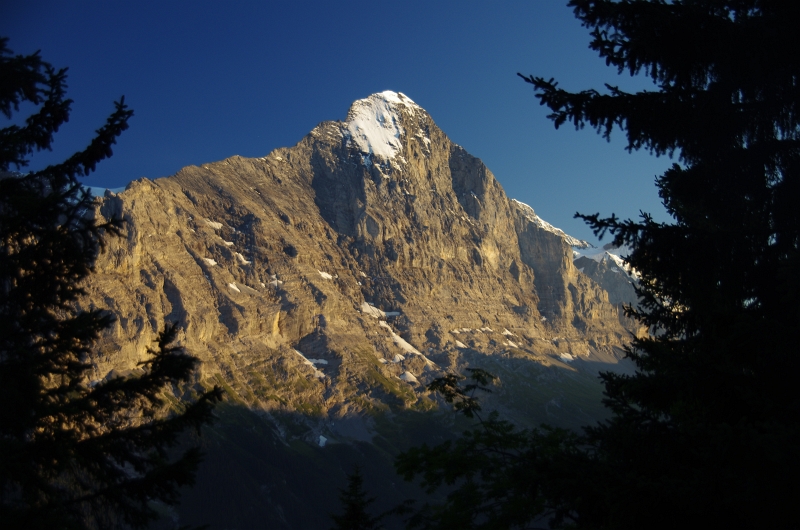 24h Hike Mammut_Ochsner 'Schreckfeld _ Grindelwald' 18_08_2012 (7).JPG